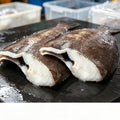 Fresh Flounder Fillets Skin On