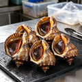 Steamed Whole Sea Snails in Shell